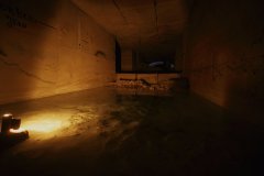 mg_7165